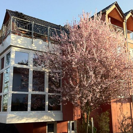 Gaestehaus Kirschgarten Боденхайм Экстерьер фото