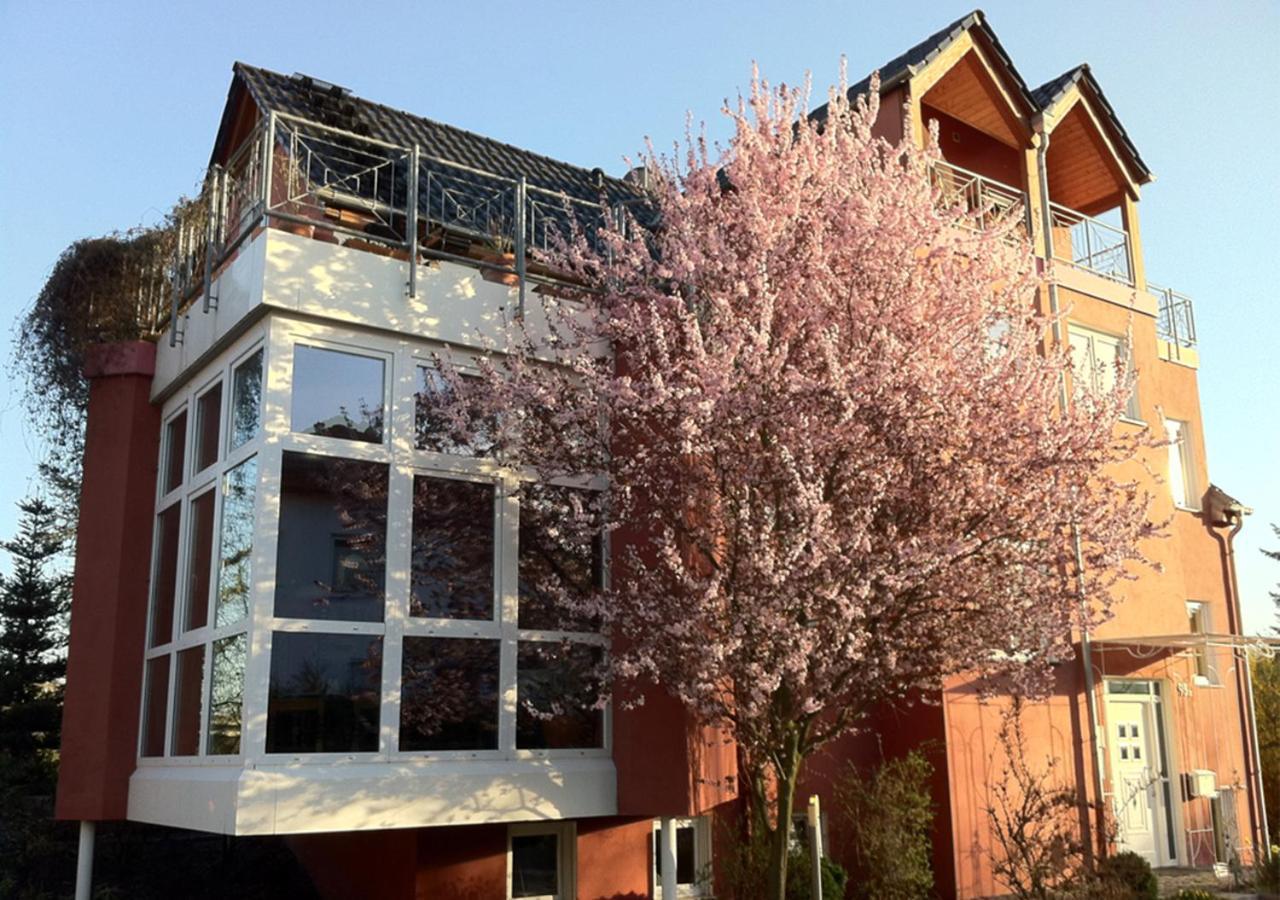Gaestehaus Kirschgarten Боденхайм Экстерьер фото