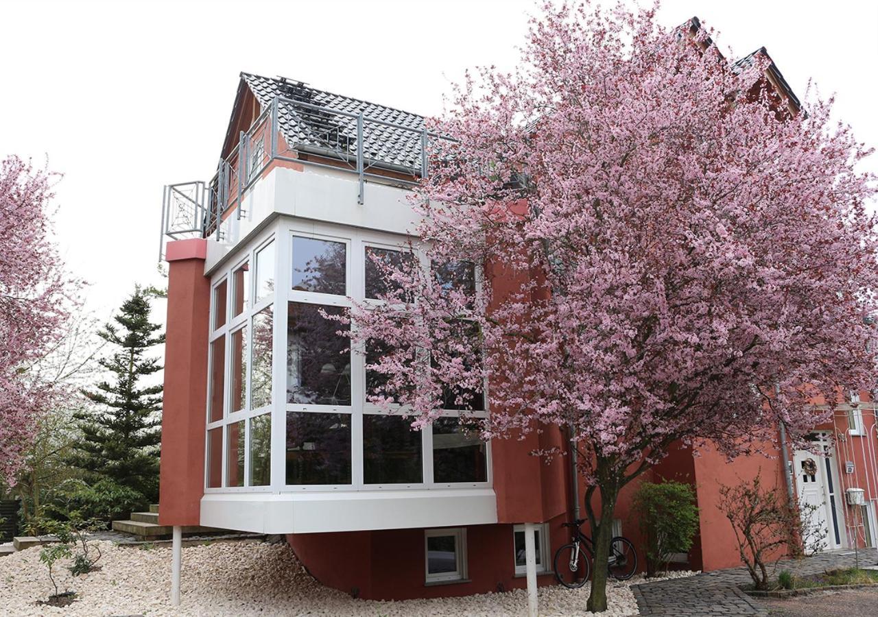 Gaestehaus Kirschgarten Боденхайм Экстерьер фото